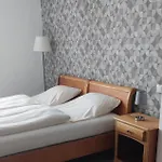 Отель Burg 3*